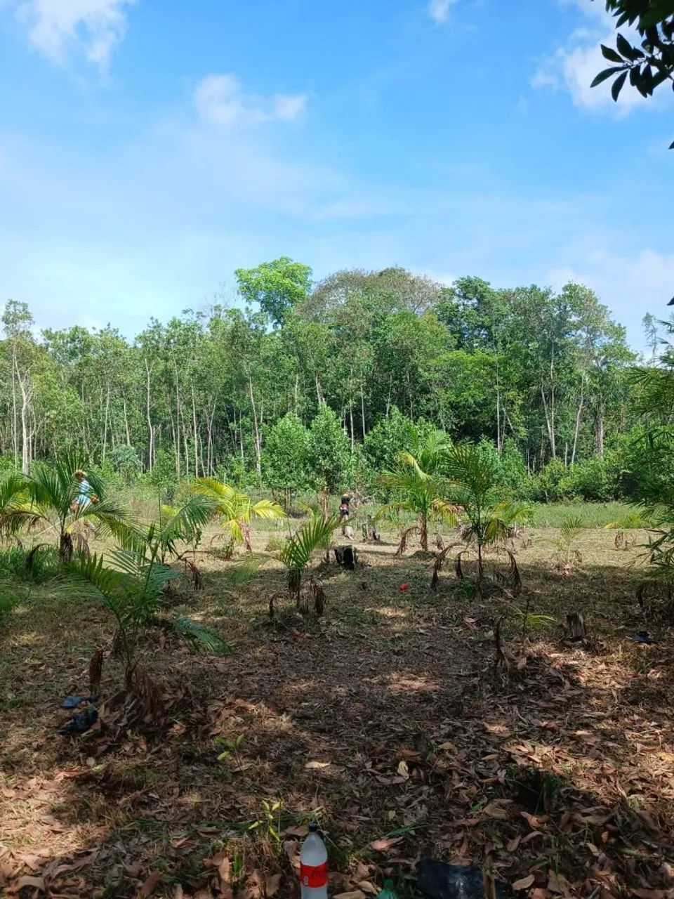 Venda de Terreno  - Foto 3