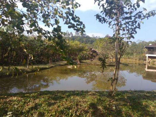 Chácara Linda Em Guaramirim - Foto 3