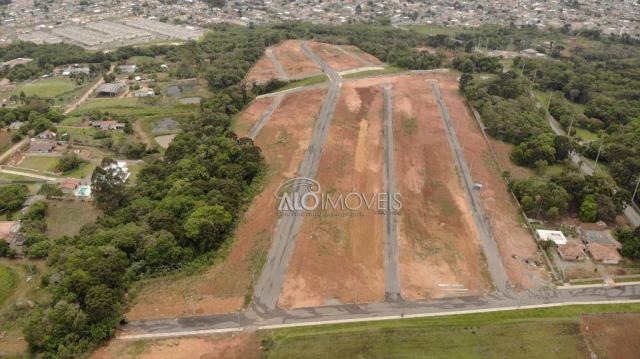 Terreno à venda, 144 m² por r$ 84.270,00 - eucaliptos - fazenda rio grande/pr - Foto 17