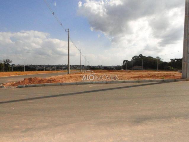 Terreno à venda, 144 m² por r$ 84.270,00 - eucaliptos - fazenda rio grande/pr - Foto 2