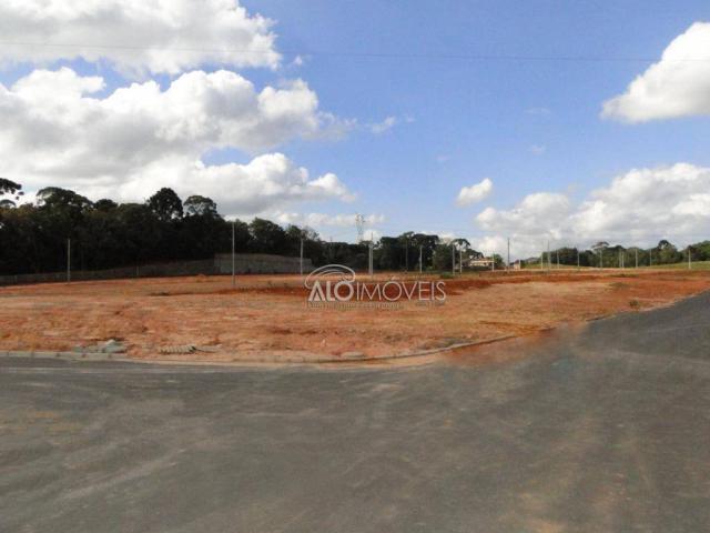 Terreno à venda, 144 m² por r$ 84.270,00 - eucaliptos - fazenda rio grande/pr - Foto 10