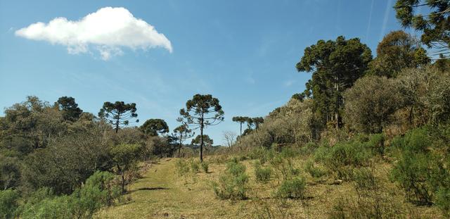 Sitio em Urubici/ chácara em Urubici /terra em Urubici - Foto 4