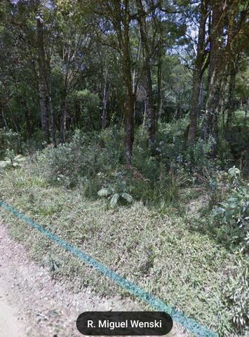 Oportunidade linda chácara 14.000 M2 ( 100 MTS do asfalto ) - Foto 4