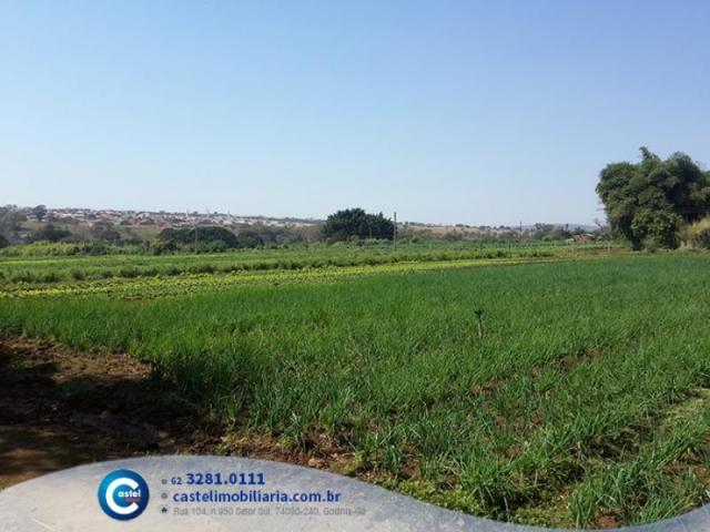 Fazenda 20616 m² por R$ 790.000 em Goiânia - Foto 4