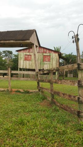 Chácara - Foto 6