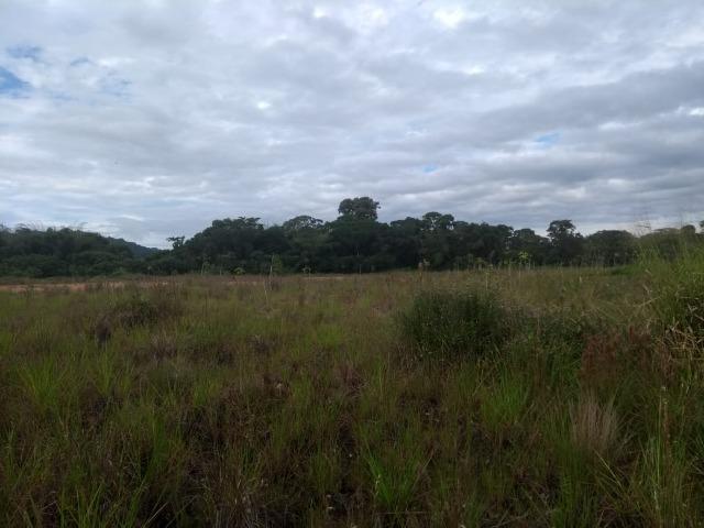 Terreno na Rodovia Ilhéus/Itabuna km 07 - Banco da Vitória - Foto 14