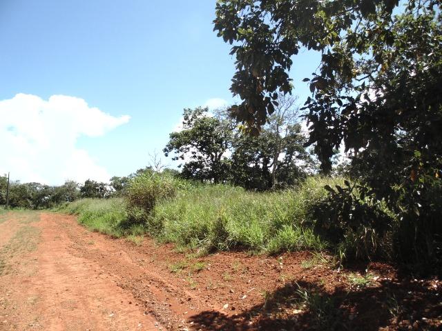 Terreno 02 Hectares Cond. Mansões Park Brasília - Área Rural Nova Betania Df - 135 - Foto 7