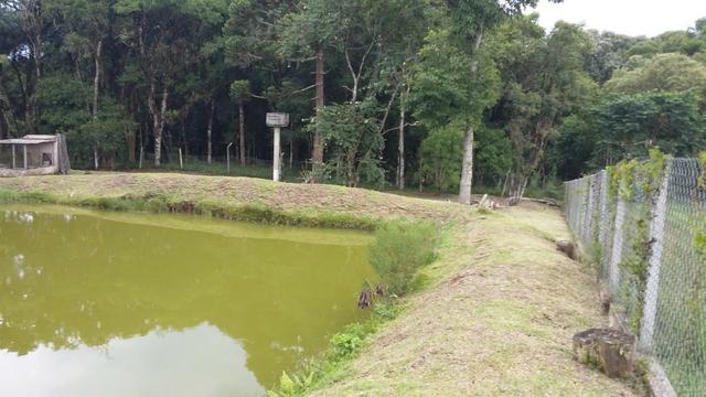 Otima Oportuidade