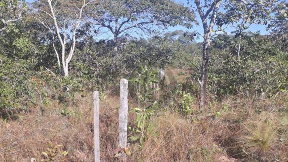 Chácara 7 hec na beira do asfalto estrada do manso à venda por r$ 120.000,00 - Foto 6