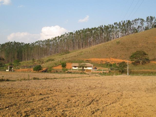 Vendo sítios - Foto 3