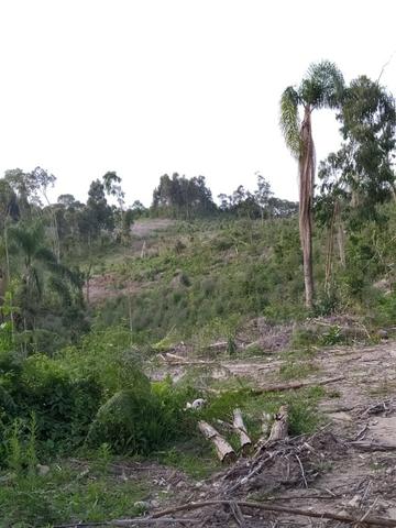 Terreno Rural - Foto 3