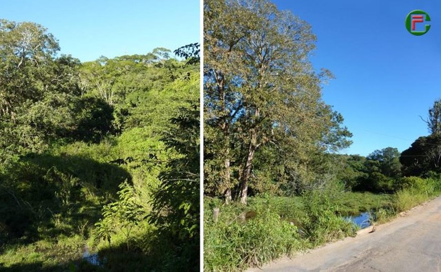 Terreno 10,2Ha em Guaramiranga, margem do asfalto, 7 km da sede do municipio.