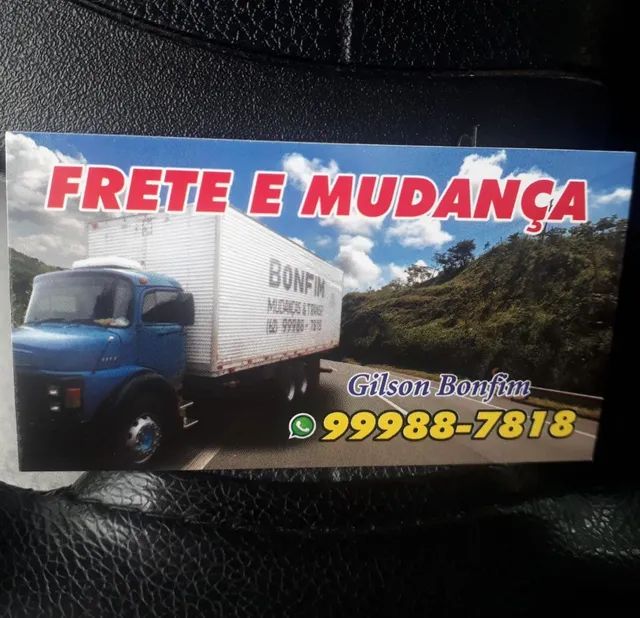 Mudança e frete, caminhão grande Goiânia e Região  - Foto 2