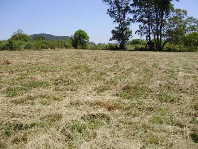 Terreno Jardim Berleze Av Primeira 32,5m x 70m - Foto 2
