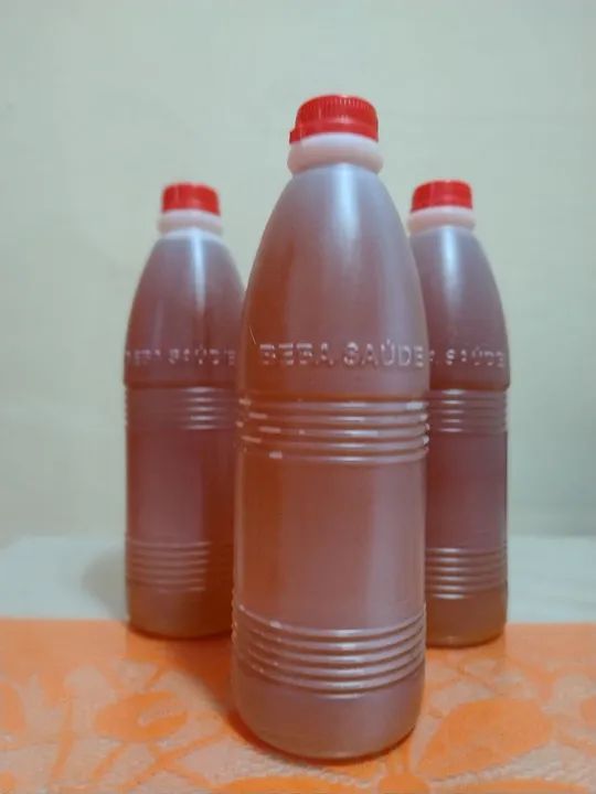 MEL DE ABELHA ITALIANA 1L e 500ML - Foto 6