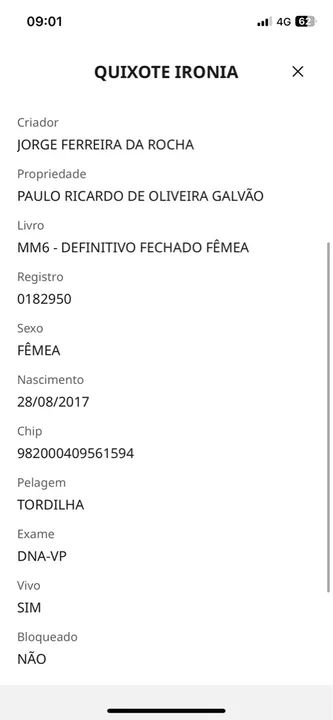 Égua MM registrada - Foto 3