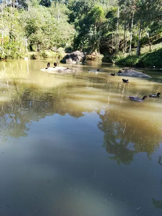 foto - São Vicente - Área Rural de São Vicente