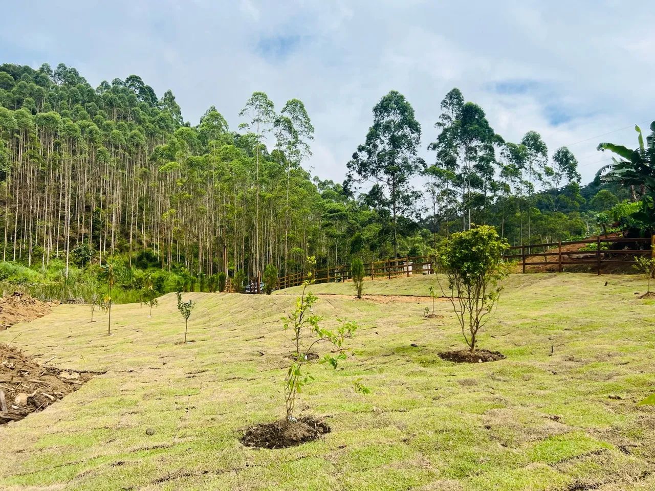 Linda Chácara com lago em Santa Teresa a 5 km do centro  - Foto 7