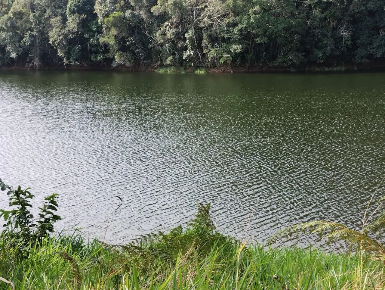 3 mil mts pe na agua na mais linda represa da região  - Foto 4