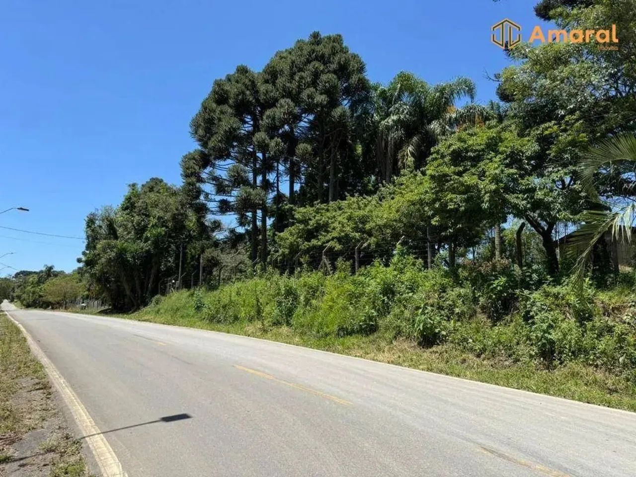 OPORTUNIDADE-100% PLANA - ASFALTADA - Foto 11