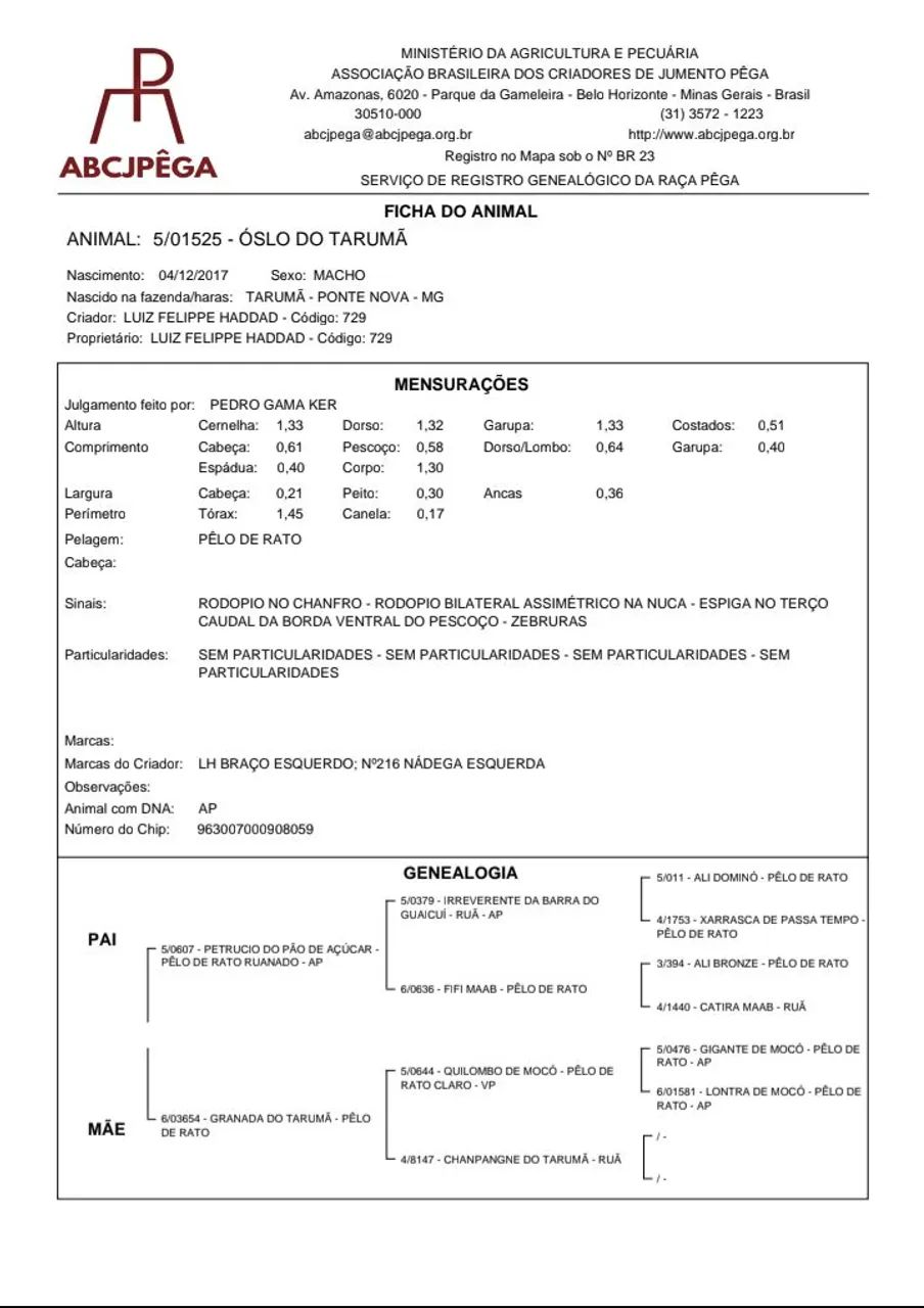 Jumento pêga registrado  - Foto 5