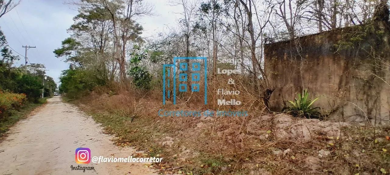 ITABORAÍ - ÁREA 10,000m² para montar seu Sitio toda Plana  Cod(551IV) - Foto 12