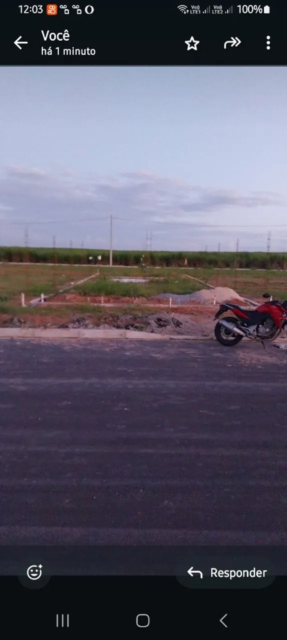 Terreno na buriti