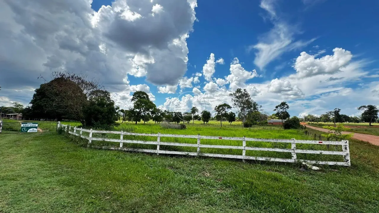 SITIO COM 31 HECTARES FORMADO