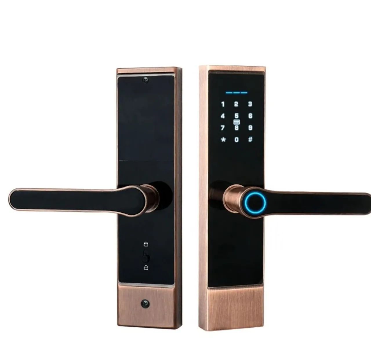 Fechadura Digital Inteligente com Biometria
