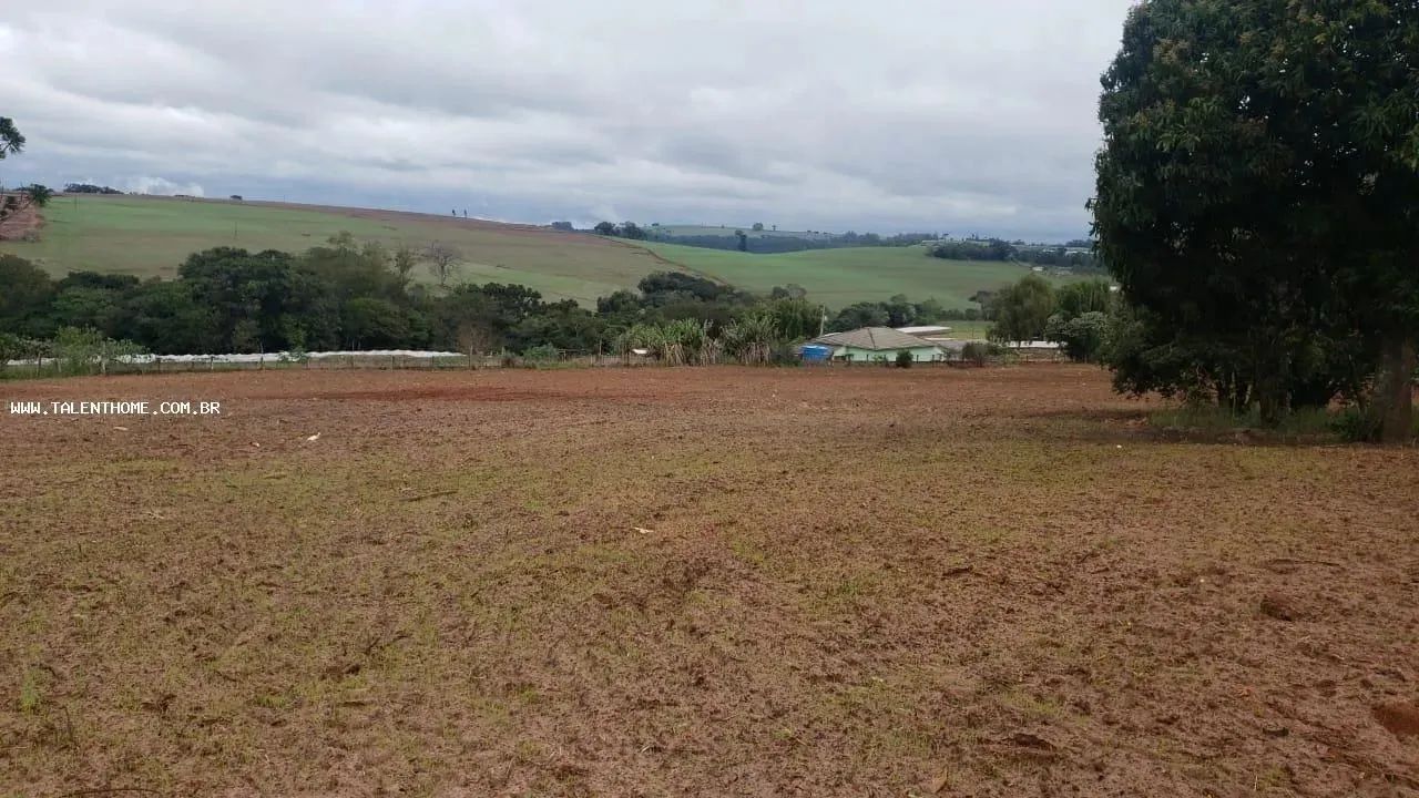 Área Rural para Venda em Faxinal - Foto 2