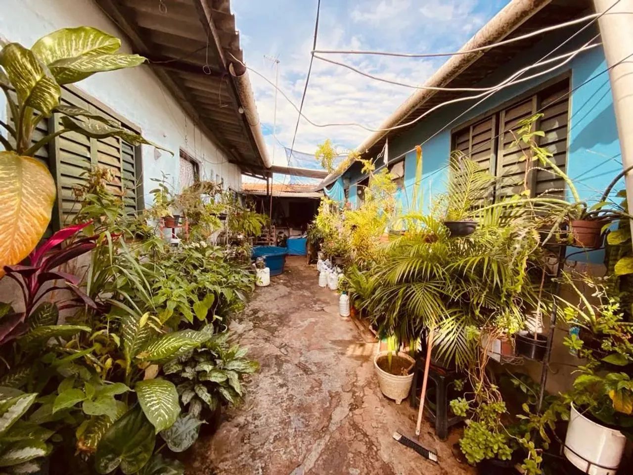 Lote na QR 216 | Desocupado e (ESCRITURADO) com 03 Barracos | 150m² | Santa Maria