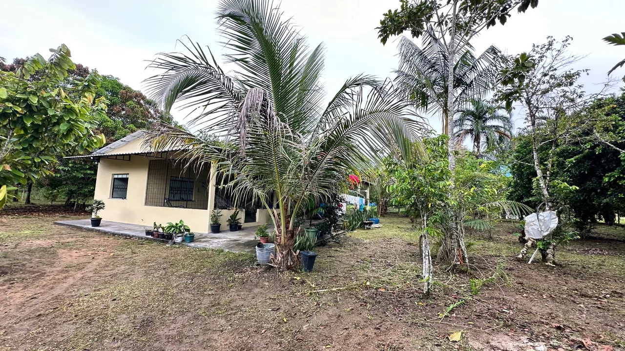 Vendo Sítio no Km 19 - Após a Ponte Rio Negro