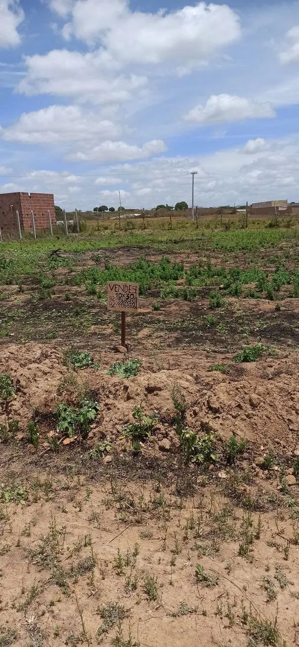 Foto - Arapiraca - Canaã