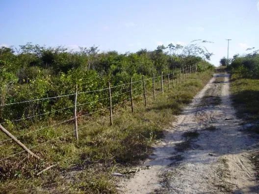 Terrenos em Pium de vários tamanhos e preços - Foto 4