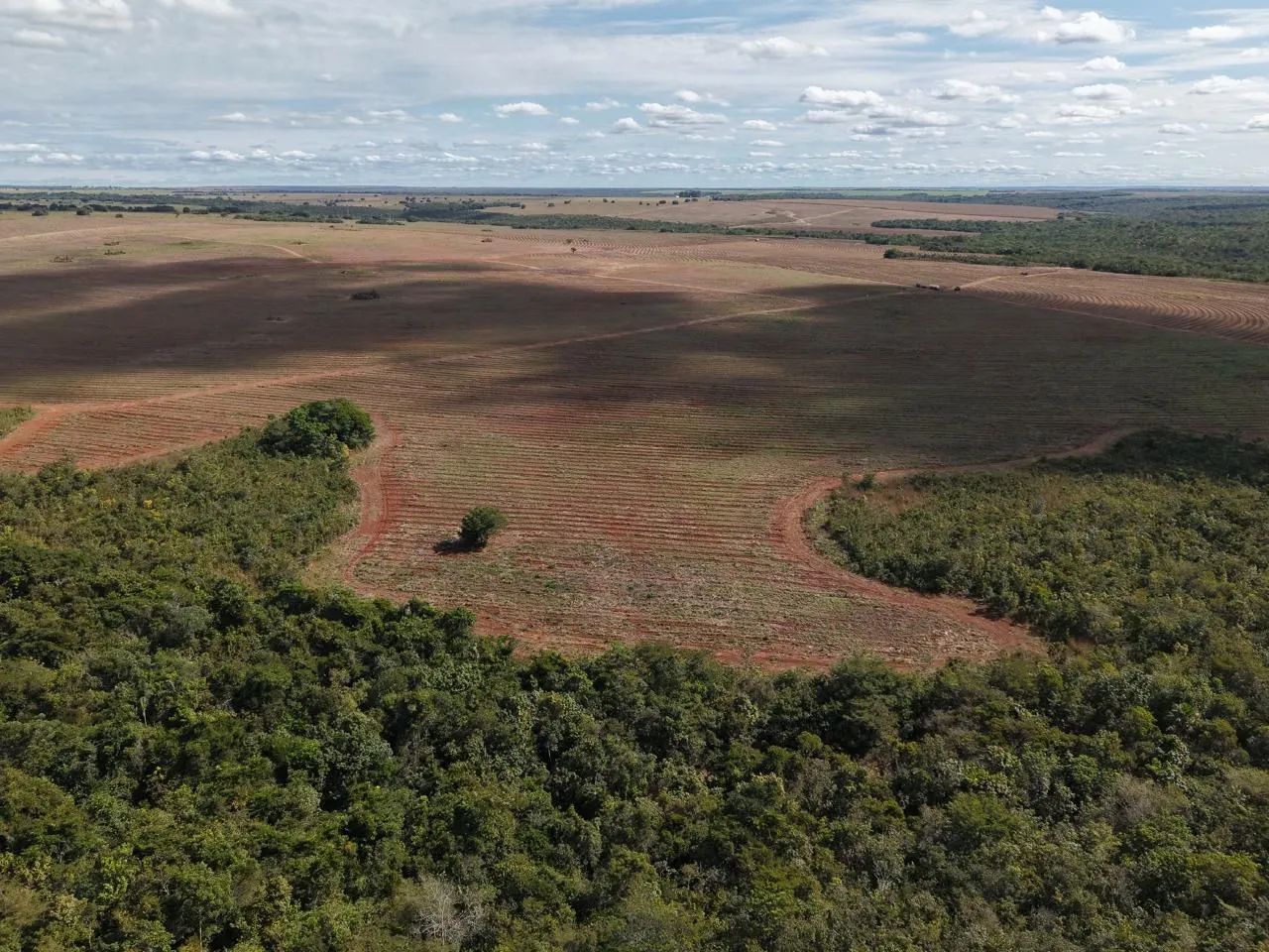 Fazenda de arrendamento 600hec em Canarana MT. - Foto 10