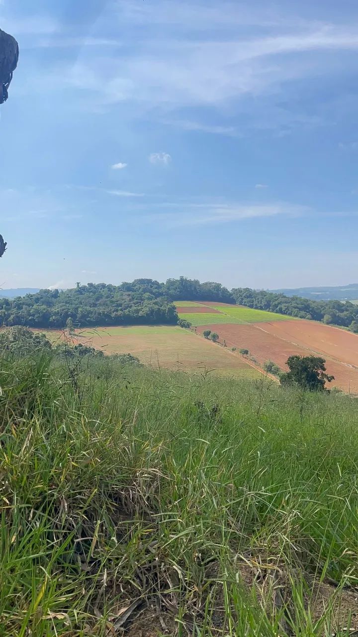 Imóvel para venda possui 500 metros quadrados em Cachoeira - Ibiúna - SP - Foto 2