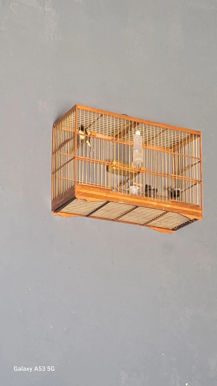 Chega cuida para vender ligeiro