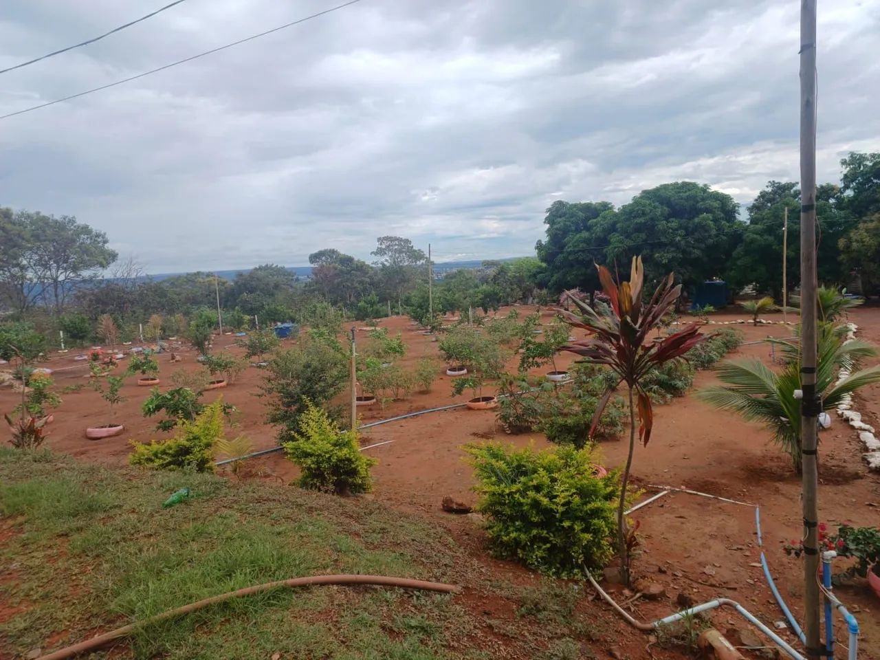 Chácara próximo ao aquacerrado.  - Foto 3