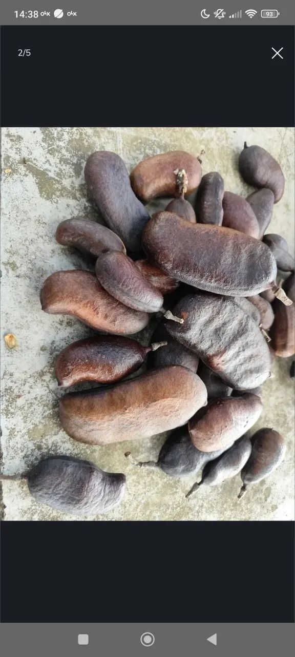 Jatobá no kg ZAP: * Retirar em Luziânia Vendo Jatobá no kg ZAP: * Retirar em Luziânia Jat 