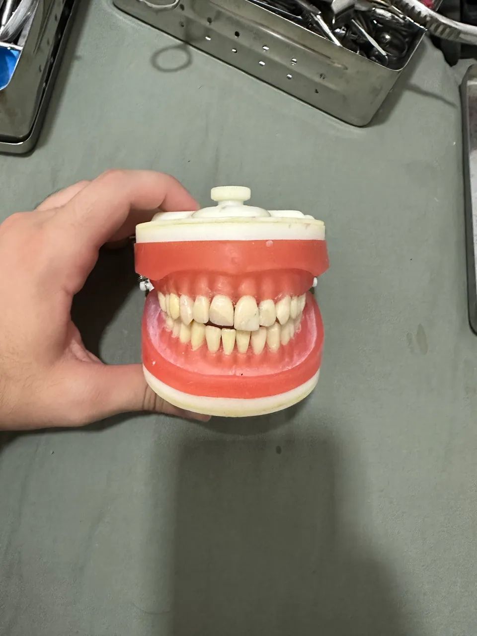 Manequim dentistica  - Foto 2