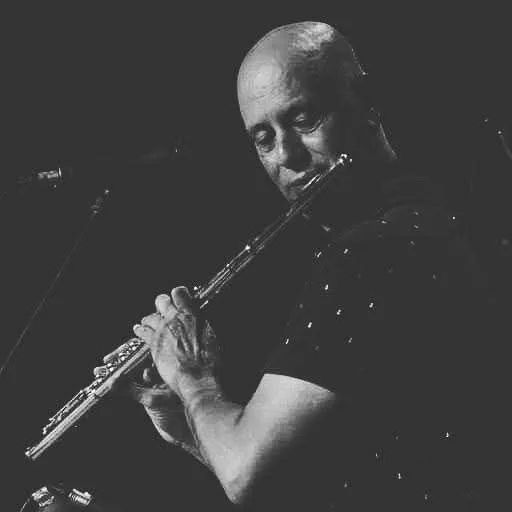 Aulas de saxofone e flauta transversal  - Foto 4