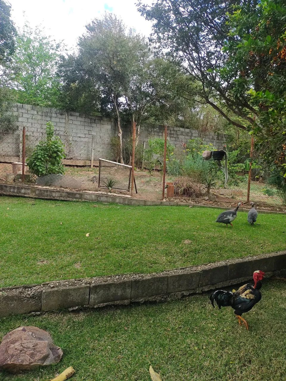 Vendo ou troco chácara  - Foto 4