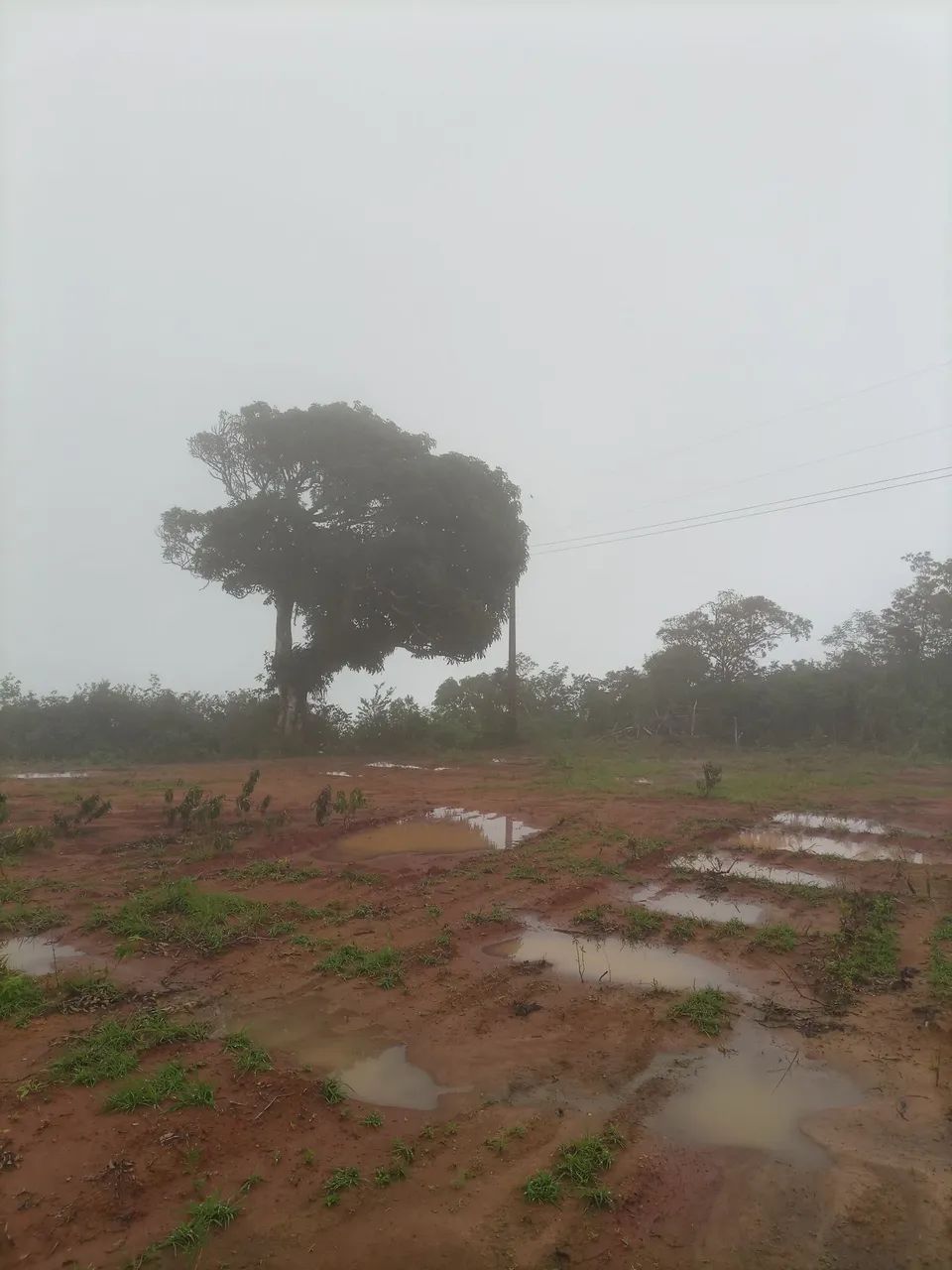  TERRENO À VENDA - SÍTIO CAJUEIRO | ARATUBA-CE 
