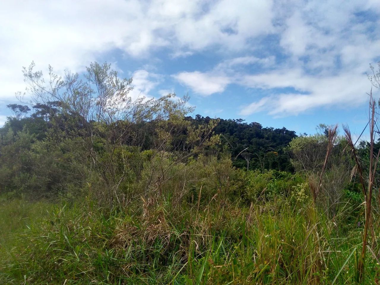 Fazende dos pássaros  - Foto 5