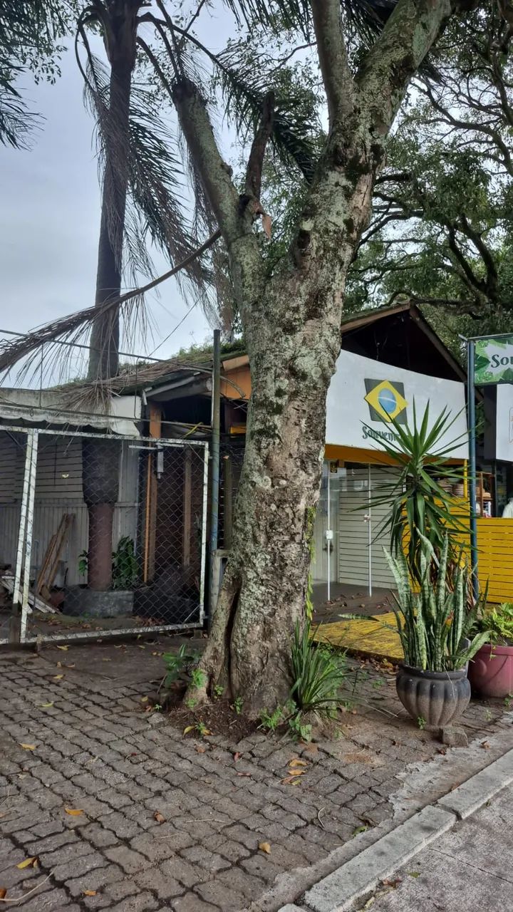 COMERCIAL - LAGOA DA CONCEIÇÃO - RUA HENRIQUE VERAS DO NASCIMENTO - Foto 3