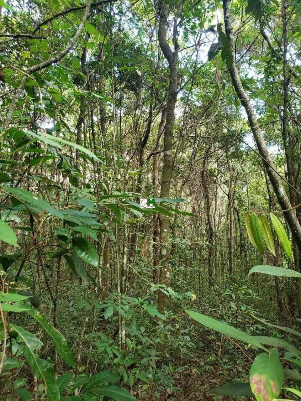 Lote em condomínio à venda, Pasárgada - Nova Lima/MG - Foto 2
