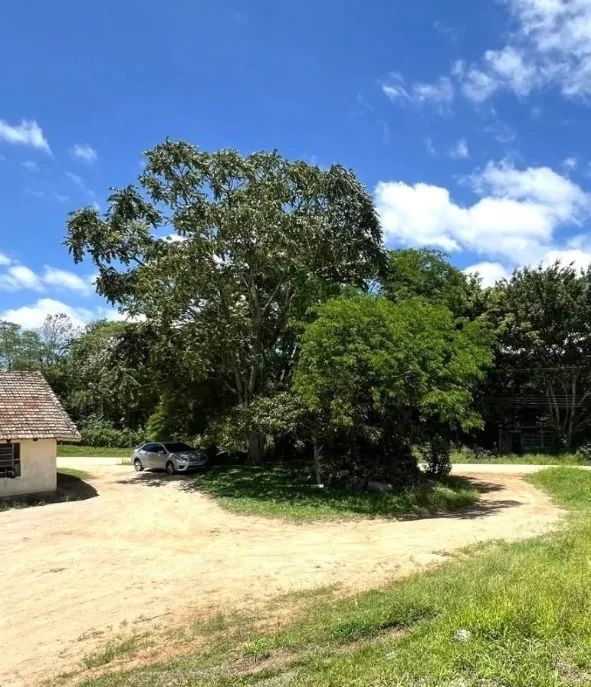 Vendo casa com excelente terreno rural  - Foto 2