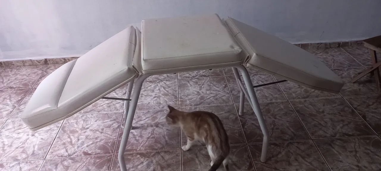 Maca estética  - Foto 4