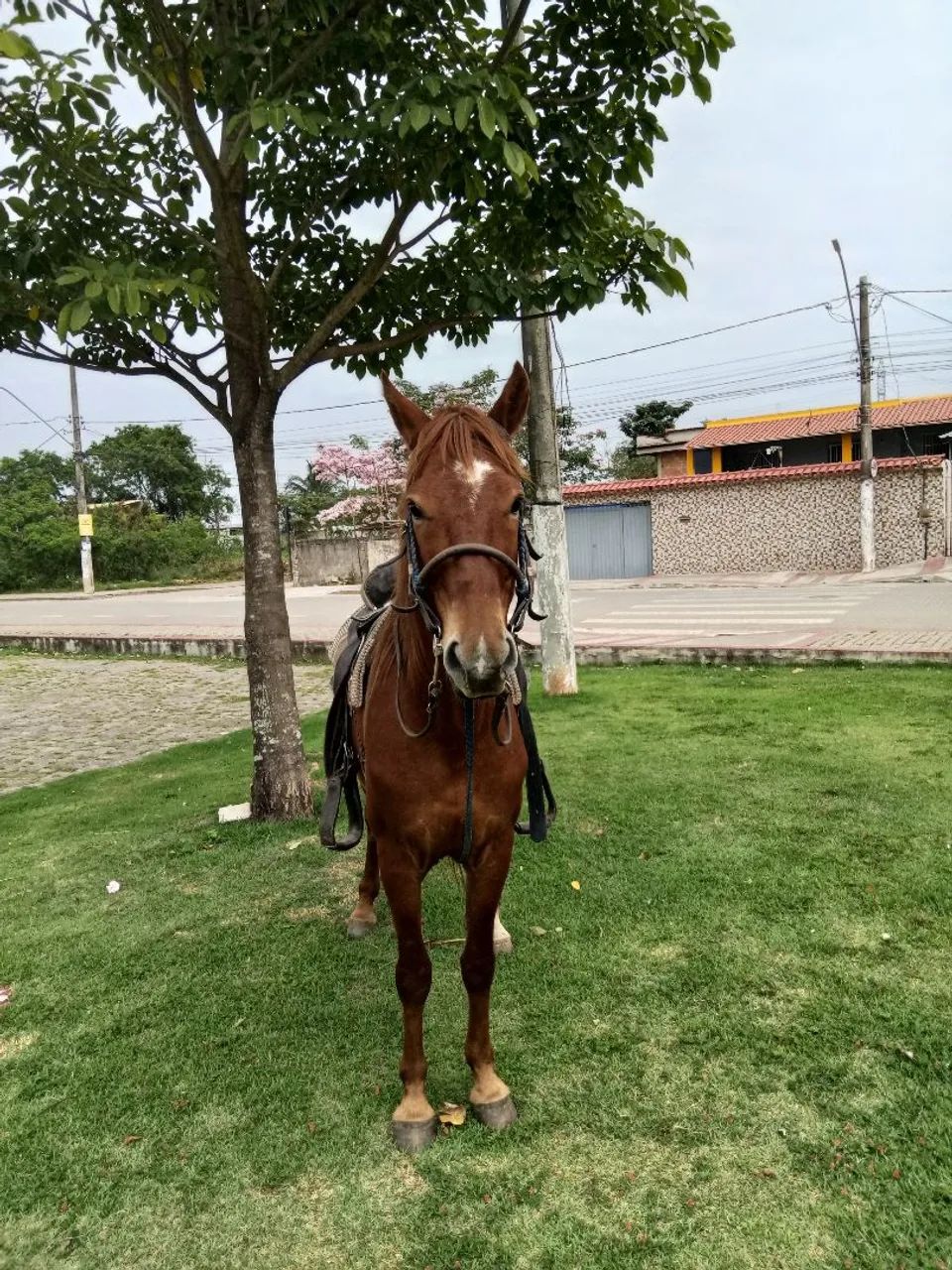Vendo ou troco  - Foto 2