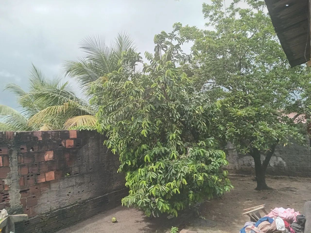Casa pra vender ou troncar  - Foto 3